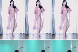 B站 李喻言  大尺度 情趣 漏内  5v