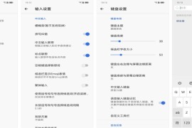 天坦输入法 v8.0.4(63) 安卓绿化版