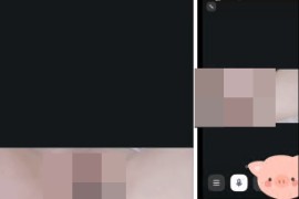 视讯 小河狸  颜值嫩妹 一对一视频被出卖，极品嫩穴，掰逼诱惑