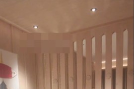 抖音 李雅   双飞 一男两逼 共舔一鸡