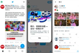 Twitter X v11.45 iOS绿化版+插件