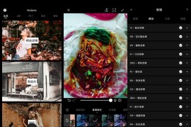 滤镜君Koloro v4.4.8 iOS绿化版