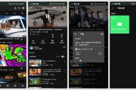 第三方YouTube客户端GreenTuber v0.1.9.5 安卓绿化版