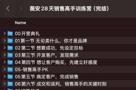 薇安28天销售高手训练营（完结）
