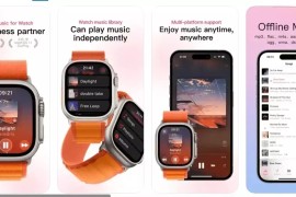 One Player v4.1.1 iOS绿化版