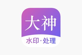 大神水印 v2.7.8 安卓绿化版