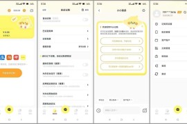 Pick记账 v2.0.9 安卓绿化版