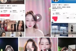 抖音   希宁  美腿御姐 直播骚舞整活+定制大尺度   27V