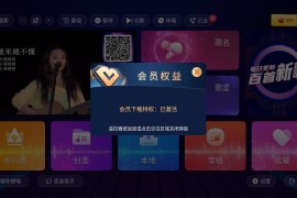 蓝音KTV v2.15 TV绿化版