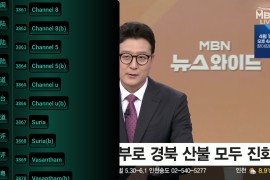 猫TV_影视238 v20240612 TV版