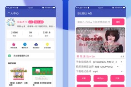 哔哩哔哩视频解析下载工具 支持4K-BILIBILIAS