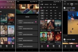 火车太顺 v1.0.0.5 安卓绿化版