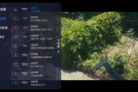 沐丰电视 v1.0.3 TV内置版