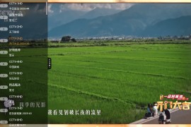 极速播TV v1.4.2 TV版