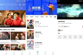 大海视频/天空视频 V4.2.0 安卓绿化版