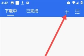 飞流下载器 v1.0.9 安卓绿化版