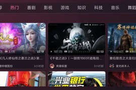 BiliTV Native 全新版，B 站第三方 TV 客户端，大屏电视追番工具