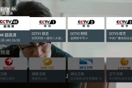 我的电视 v2.1.8 TV版