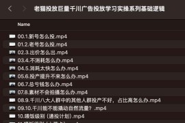 老猫投放巨量千川广告投放学习实操系列基础逻辑