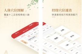 人体穴位图解 v3.1.8 安卓绿化版