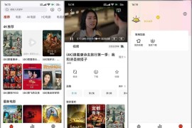 晴天4K v4.2.0 安卓绿化版