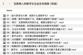 极客时间-视频课-沈欣-互联网人的数字化企业生存指南（完结）