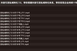 抖音引流私域转化7.0，带你搭建抖音引流私域转化体系，带你实现企业持续十年的盈利