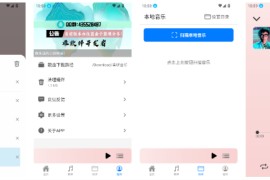 青听音乐 v1.1.2 安卓版+音源配置