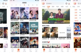 番喜视频 V1.7.0 安卓绿化版