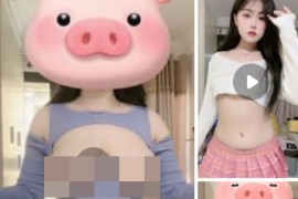 B站 抖音 火锅炖兔仔 凹菟嫚 百万粉  大尺度 情趣 裸舞  抖胸 8v