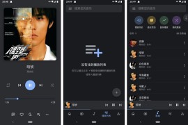 Oto Music v4.0.8 安卓绿化版