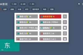 东岳4K影视 v1.0.0 TV版
