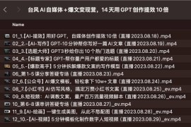 台风AI自媒体+爆文变现营，14天用GPT创作提效10倍