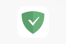 拦截广告神器AdGuard v4.12.81 安卓最新绿化版