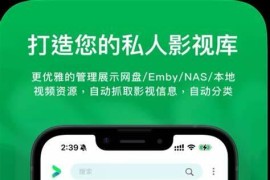 VidHub v1.7.26 iOS绿化版