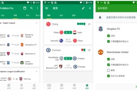 体育FotMob v218.14974.20251107 安卓绿化版