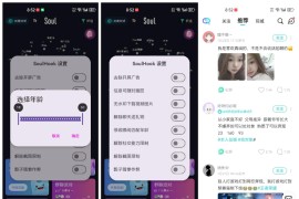Soul v5.66.1 安卓绿化版