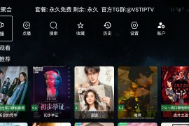 全聚台VST v2.0.6 TV版