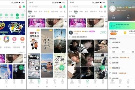壁纸多多 v6.8.9.0 安卓绿化版