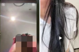 花椒 甜栗甜 小鲸鱼 UU  大尺度   情趣 裸舞  道具自慰 高潮喷水 2V