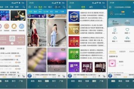 DJ音乐盒 v8.2.5 安卓绿化版