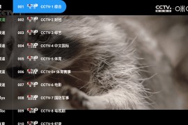 雨露FM电视 v2.5.8 TV版