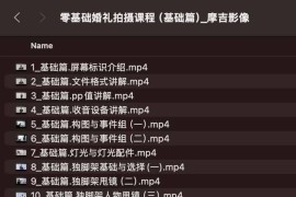 零基础婚礼拍摄课程（基础篇）_摩吉影像