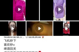 快手 馨乐978  熟女 自慰   4v