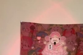 快手 安安 自慰