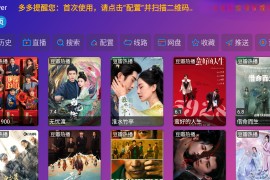 Player v6.1.1 TV多仓版