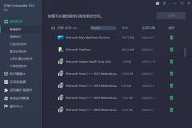 卸载工具：IObit Uninstaller Pro v15.0.0 中文绿色专业便携版
