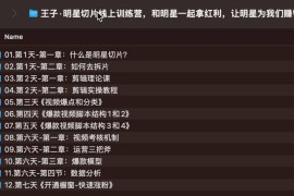 王子·明星切片线上训练营，和明星一起拿红利，让明星为我们赚钱
