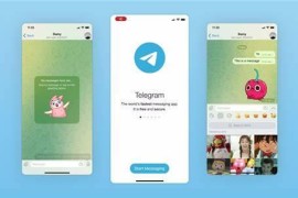 Telegram/web v11.13.1/11.5.5 安卓绿化版
