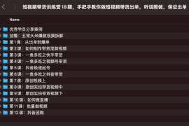 短视频带货训练营18期，手把手教你做短视频带货出单，听话照做，保证出单